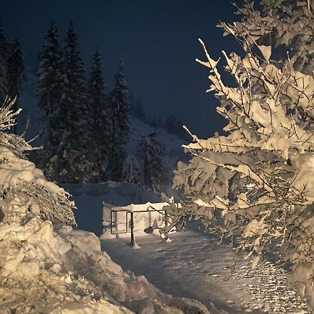 Almen-Kraeuter-Oberreiter Apartment Dellach im Drautal ภายนอก รูปภาพ