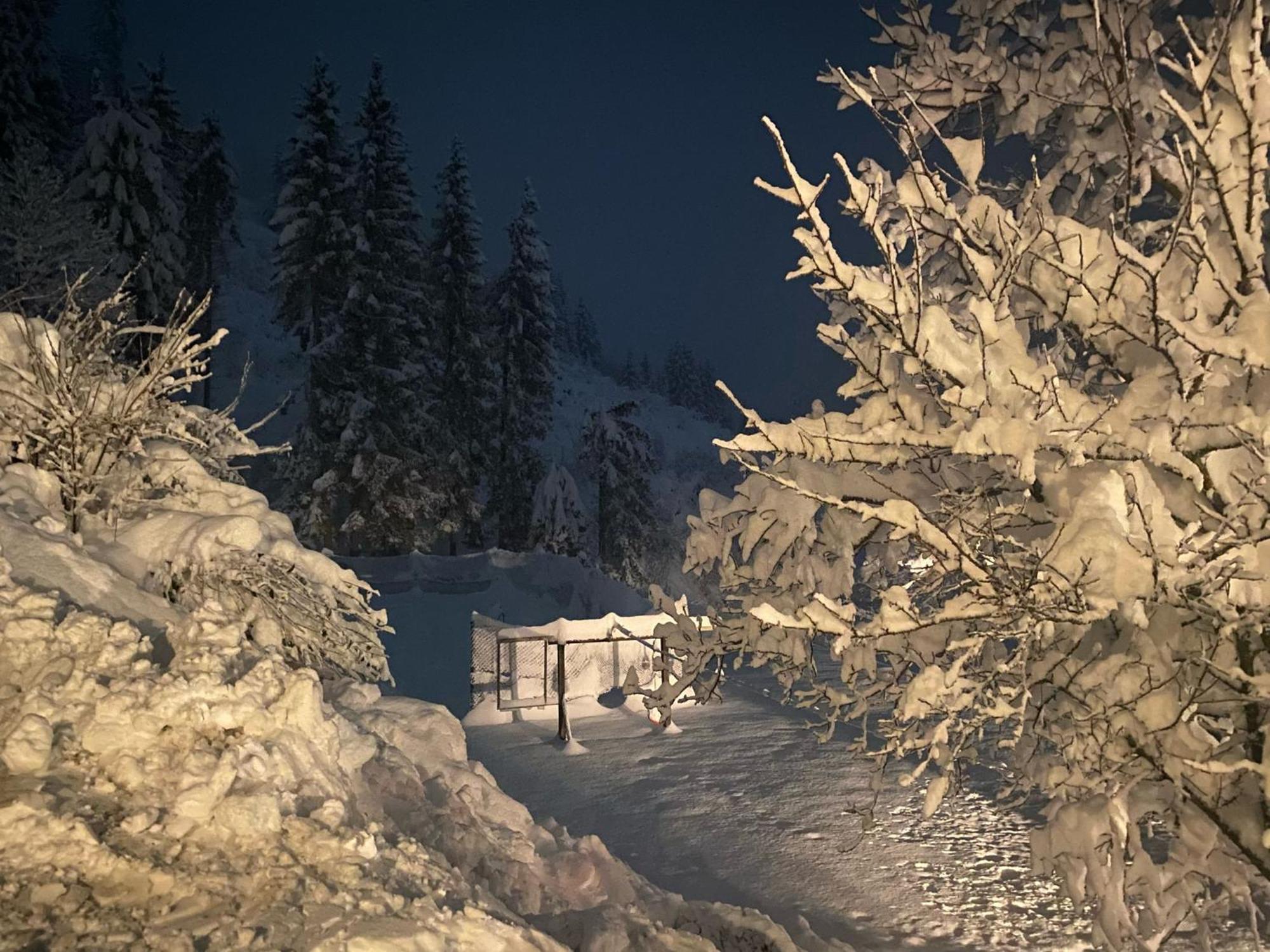 Almen-Kraeuter-Oberreiter Apartment Dellach im Drautal ภายนอก รูปภาพ