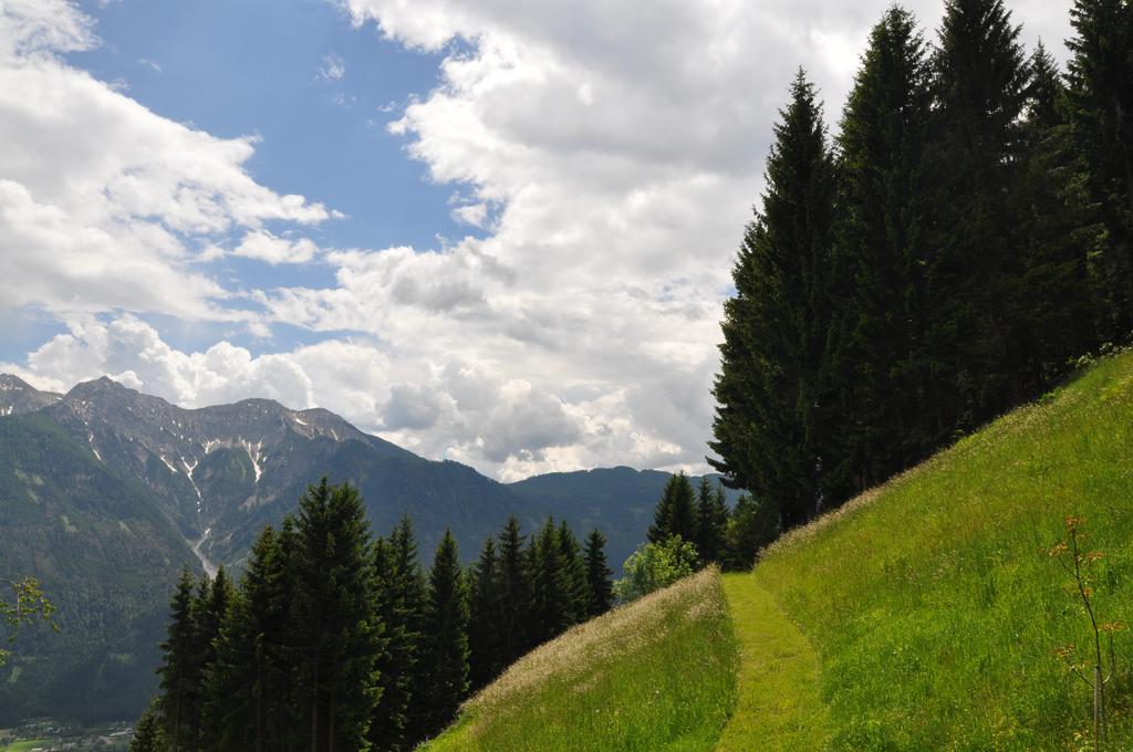 Almen-Kraeuter-Oberreiter Apartment Dellach im Drautal ภายนอก รูปภาพ